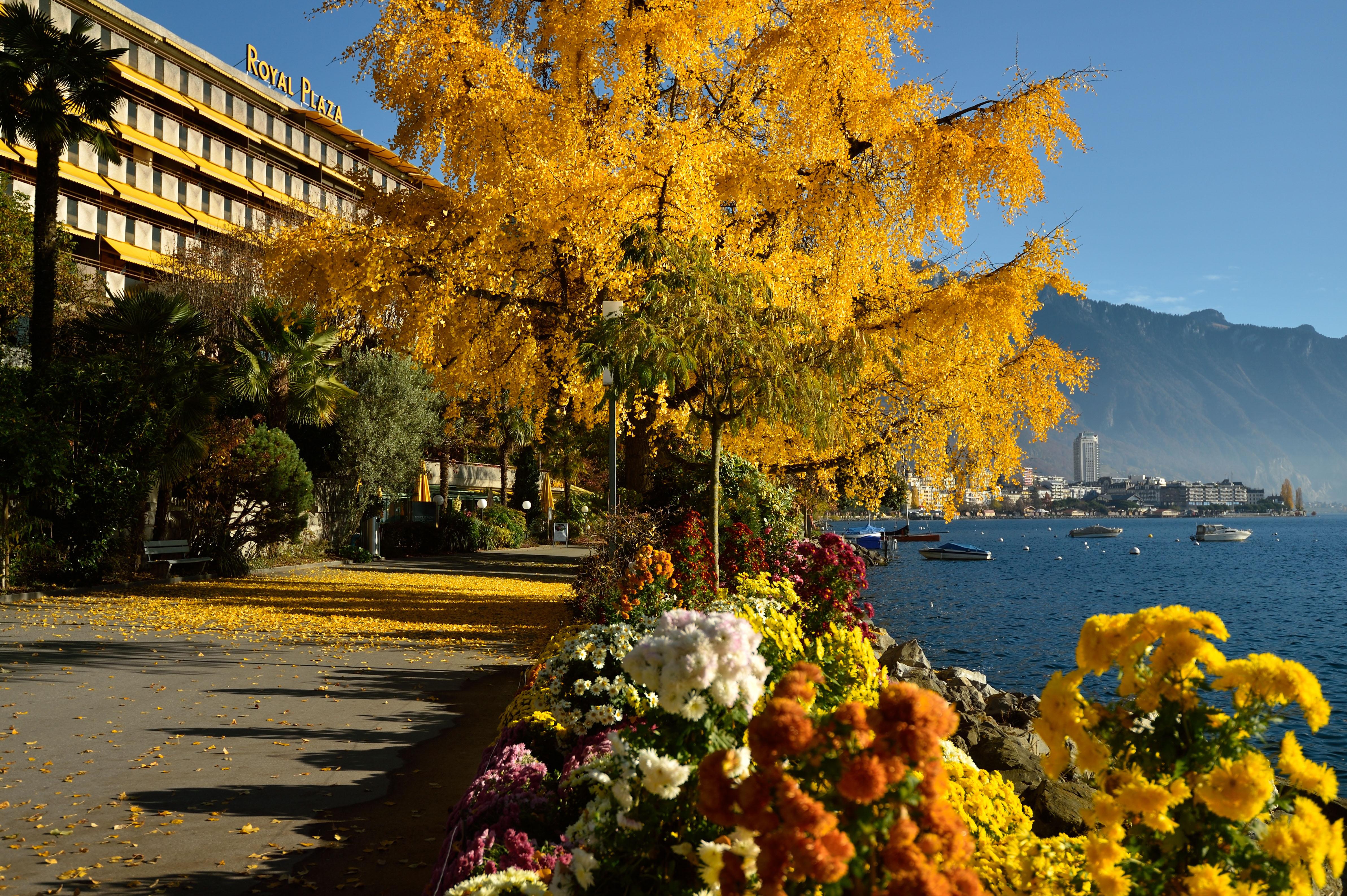 Royal Plaza Montreux Hotel Exterior foto Autumn in Montreux