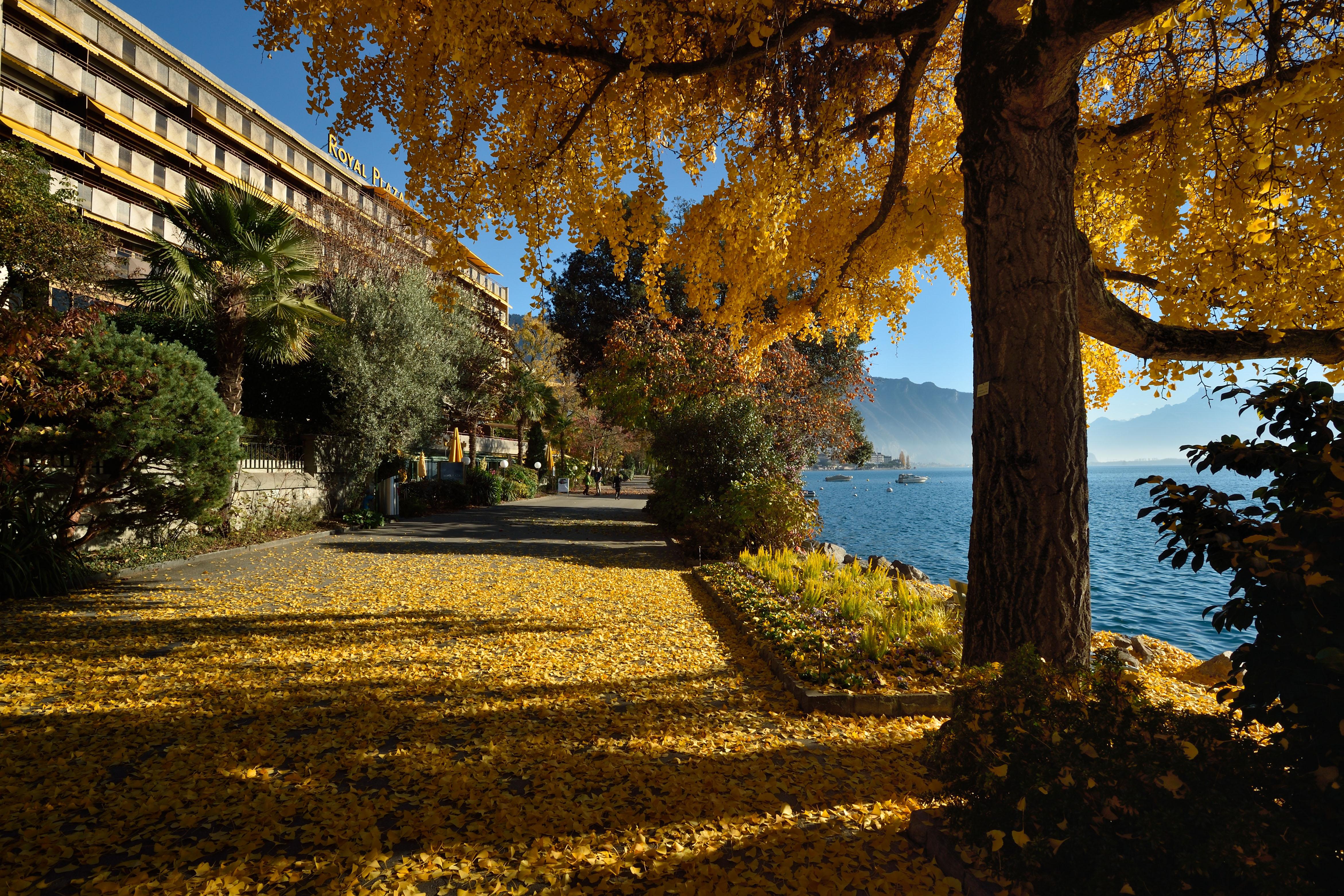 Royal Plaza Montreux Hotel Exterior foto Autumn at the University of Victoria