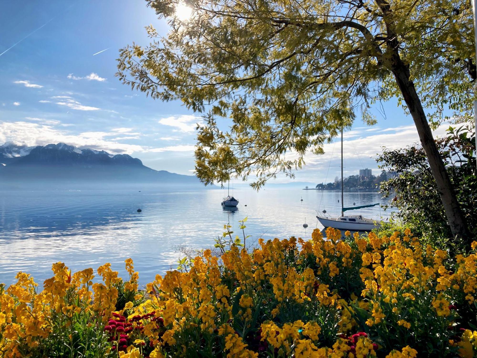 Royal Plaza Montreux Hotel Exterior foto View of Lake Geneva from Montreux