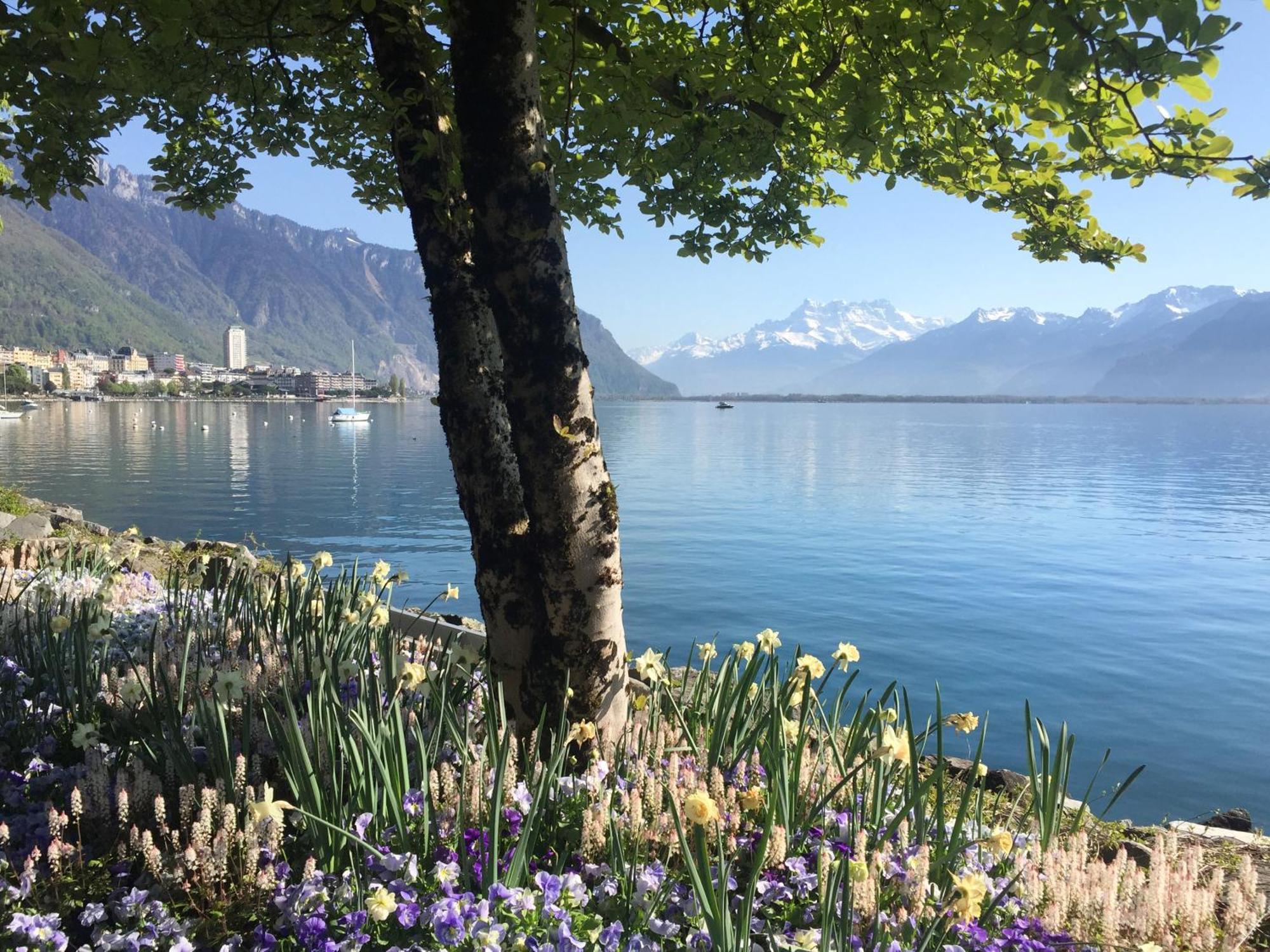 Royal Plaza Montreux Hotel Exterior foto Lake Geneva