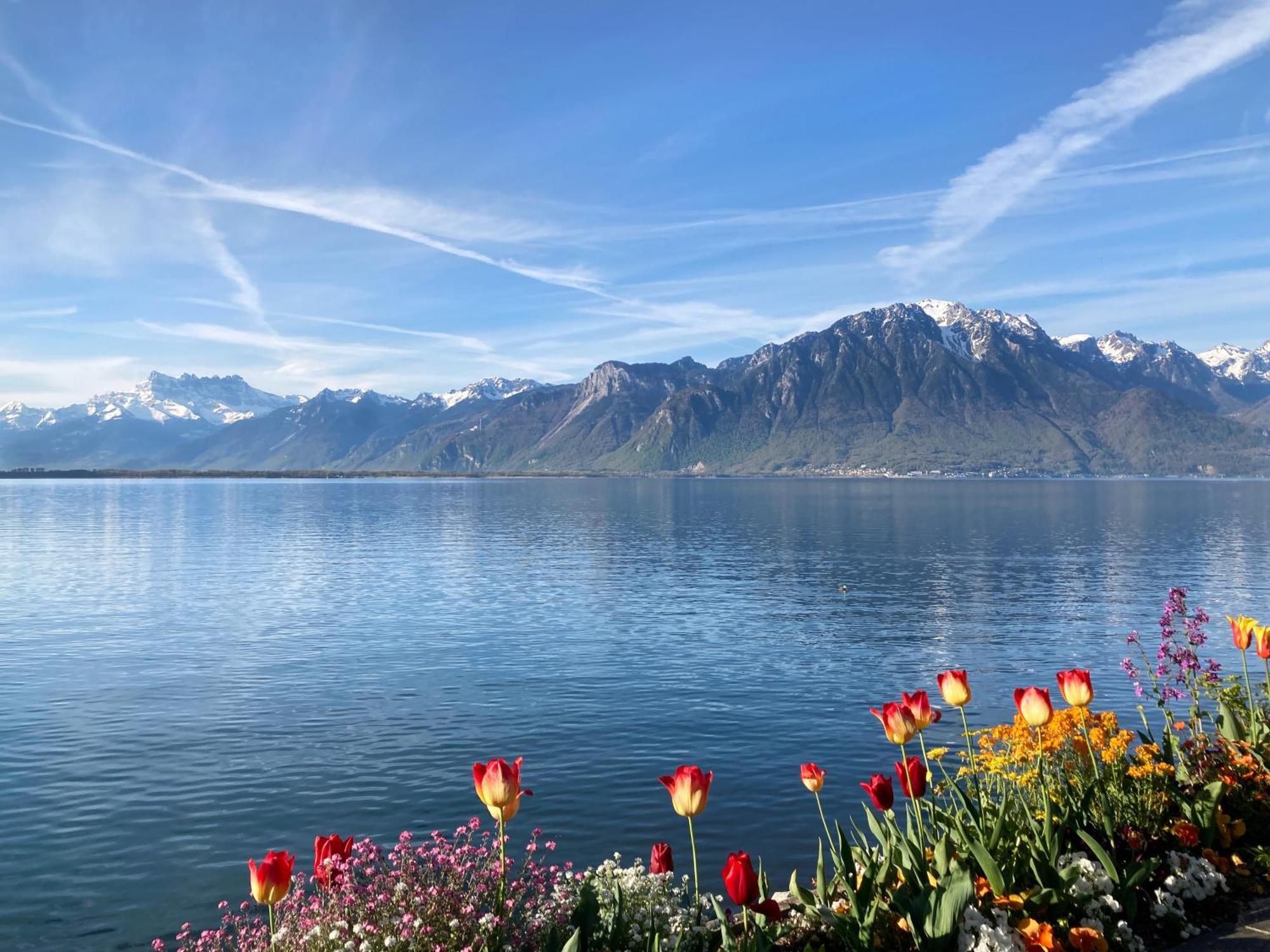 Royal Plaza Montreux Hotel Exterior foto View of the Alps from Montreux